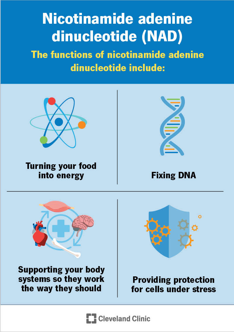 NAD+ (Nicotinamide Adenine Dinucleotide)